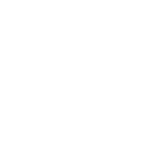 Maxi taxes