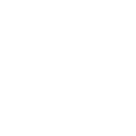 swarovski